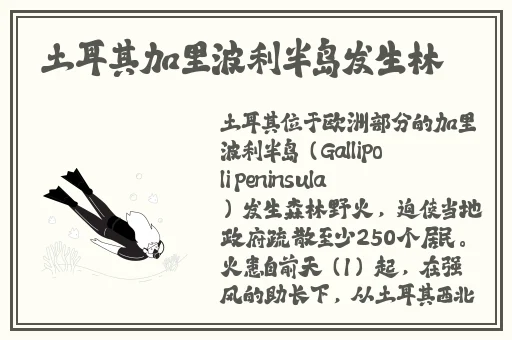 青柠在线视频